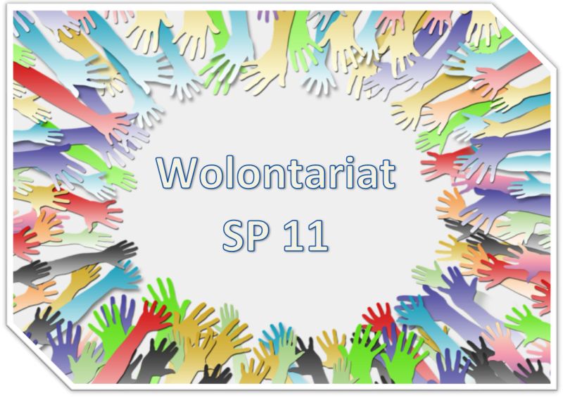 wolontariat